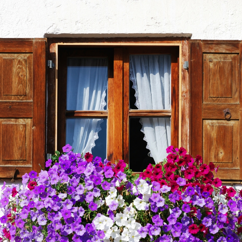 The 5 Best Ways to Increase Property Value Homeowners