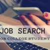 Top Job Search Tips Top Job Search Tips